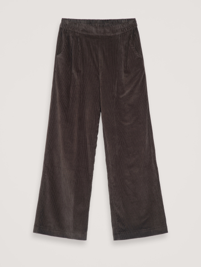 Pleat Pants